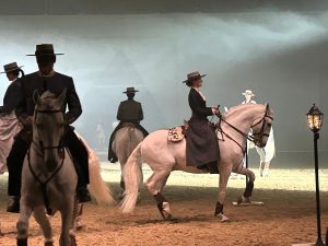purebred lusitano horse for sale